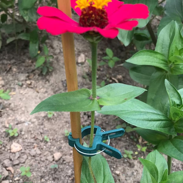 Gardening Clip - Set Of 20