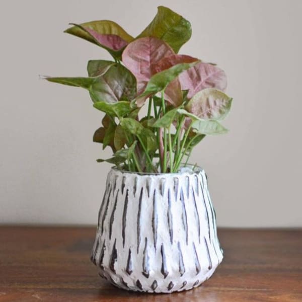 Honeycomb Glass Planter