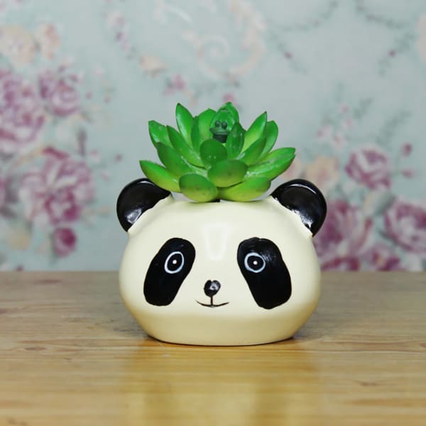 Panda Face Planter - Assorted - Single Piece Panda Face Planter - Assorted - Single Piece
